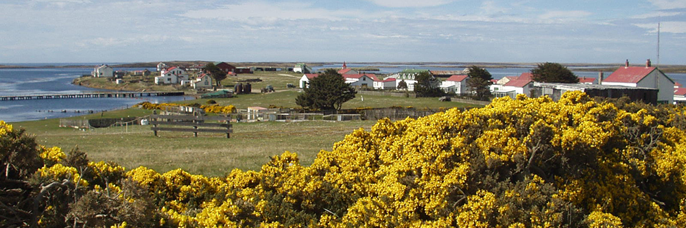 GOOSEGREEN, East Falklands